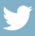 X / Twitter